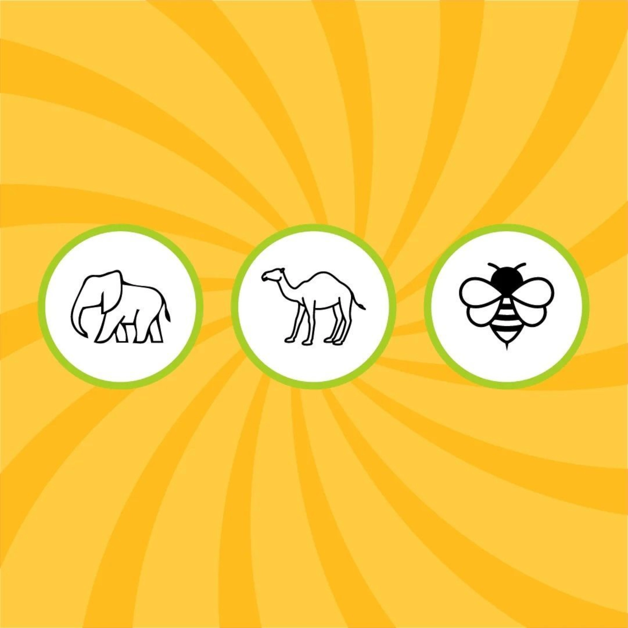 Taswir - Apprendre à dessiner en s&